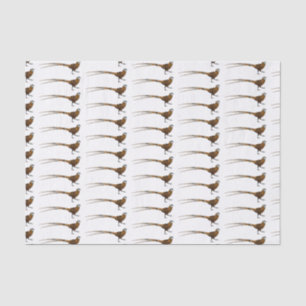 Reeves's pheasant bird cartoon illustration  tissue paper
