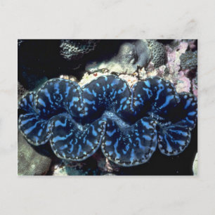 #REF! POSTCARD