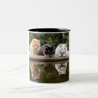 Réfléchir Feline Friends : Une Mug En Céramique À