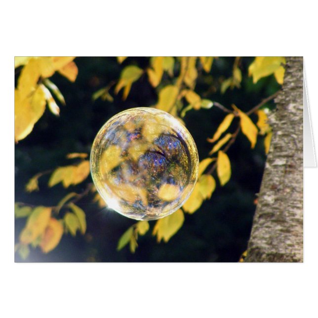 Reflected Autumn Leaves (Front Horizontal)