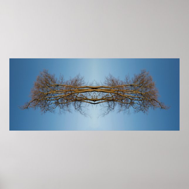 Reflected trees poster (Front)