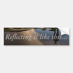 Reflecting - Bumper Sticker