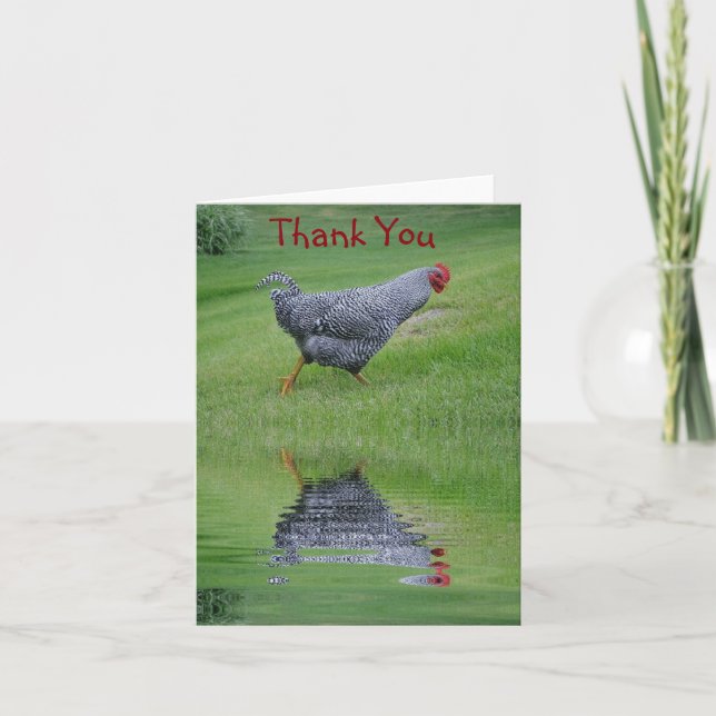 Reflecting Chicken Thank You Card (Front)