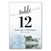 Reflecting Light Dusty Blue Rose Elegant Wedding