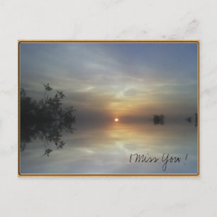 Reflecting Sunshine Postcard