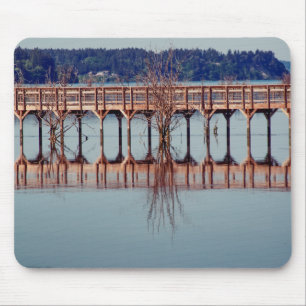 Reflecting Together Mouse Pad