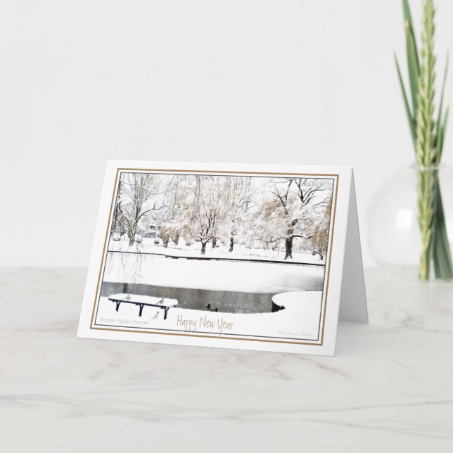 Reflection: In New Year: Boston Public Garden Holiday Card (Front)