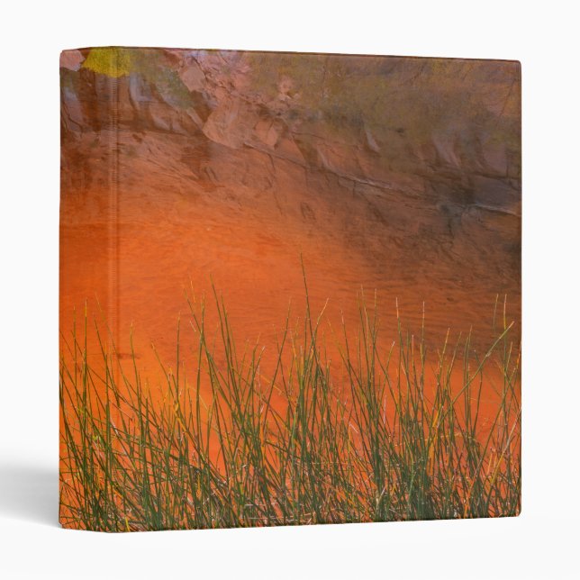 Reflection in Pool Canyon | Glen Canyon, UT Binder (Front/Spine)