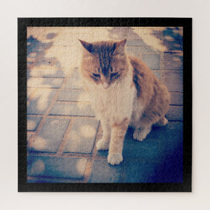 Reflection  jigsaw puzzle