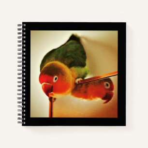 Reflection notebook