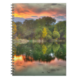 Reflection Notebook