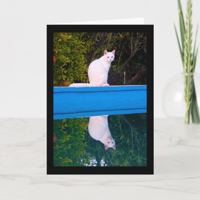 Reflection of a White Cat Portrait Card (Front)