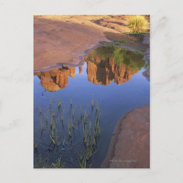 Reflection of Cathedral Rock , Sedona , Arizona Postcard (Front)