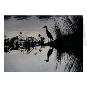 Reflection of Heron on Riverbank at Sunset