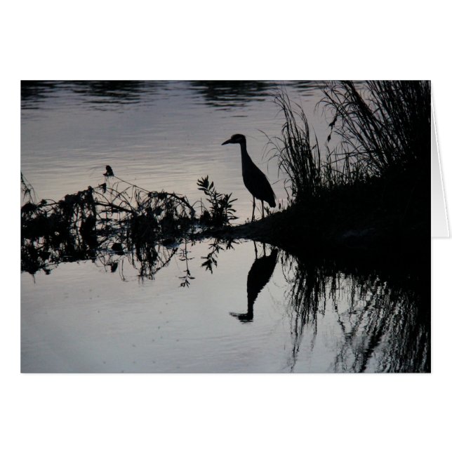 Reflection of Heron on Riverbank at Sunset (Front Horizontal)