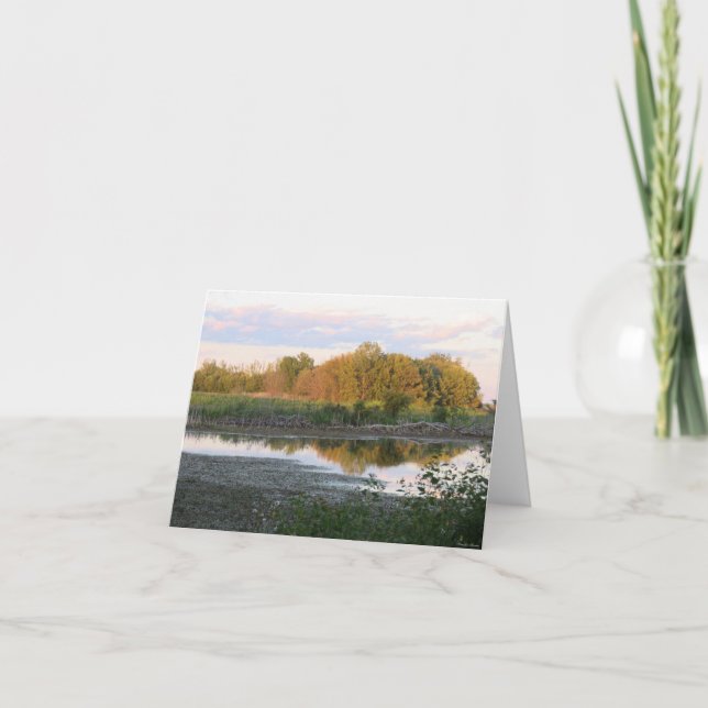 Reflection Trees - Blank Greeting Card (Front)