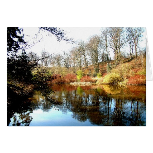 reflections (Front Horizontal)