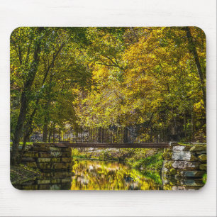 Reflections Beginning Painterly Mouse Pad