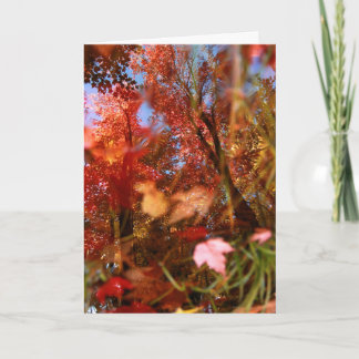 Reflections Card