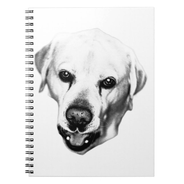 Reflections in Ink Notebook (Front)