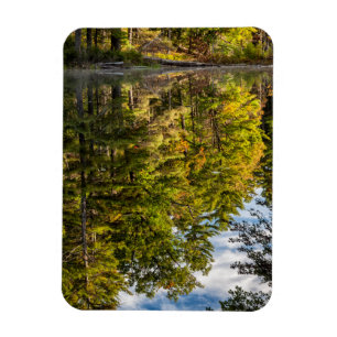 Reflections in Red Eagle Pond White Mountains Magnet