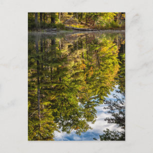 Reflections in Red Eagle Pond White Mountains Postcard