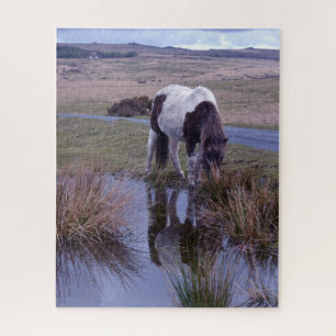 Reflections of a Pony Dartmoor National Park Jigsaw Puzzle