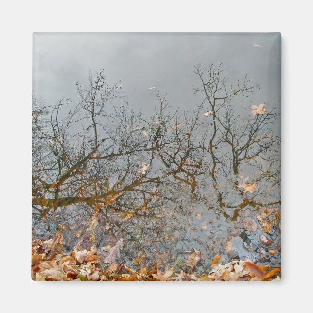 Reflections of Autumn Magnet (Front)