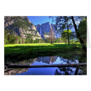 Reflections of Falls