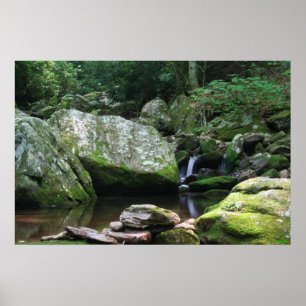 Reflections of Mineral Creek Poster
