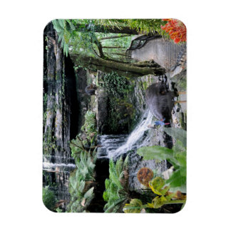 REFLECTIONS OF OZ    Australian Rainforest Magnet