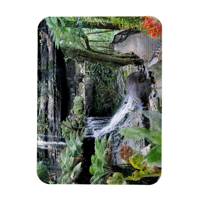 REFLECTIONS OF OZ    Australian Rainforest Magnet (Vertical)