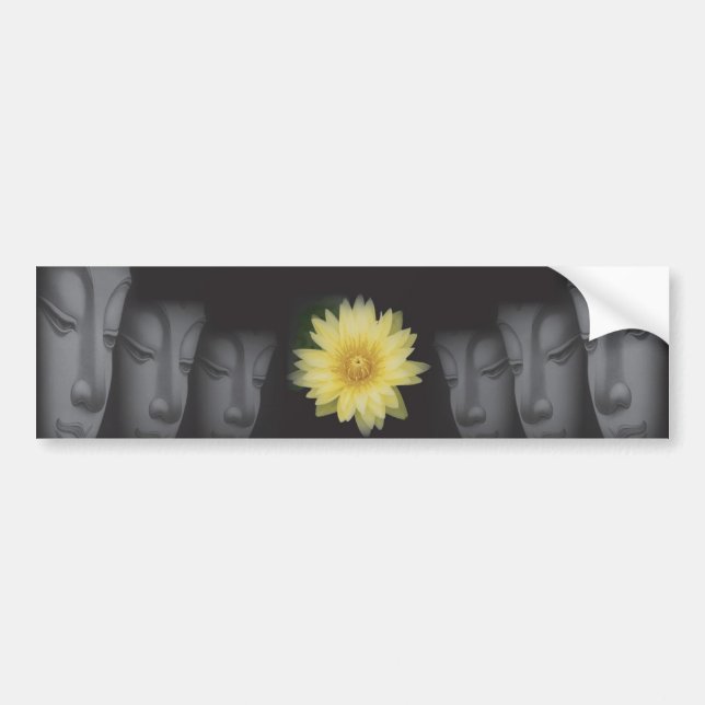 Reflections of Self- Bumper Sticker (Front)