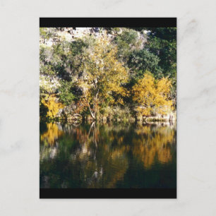 Reflections Postcard
