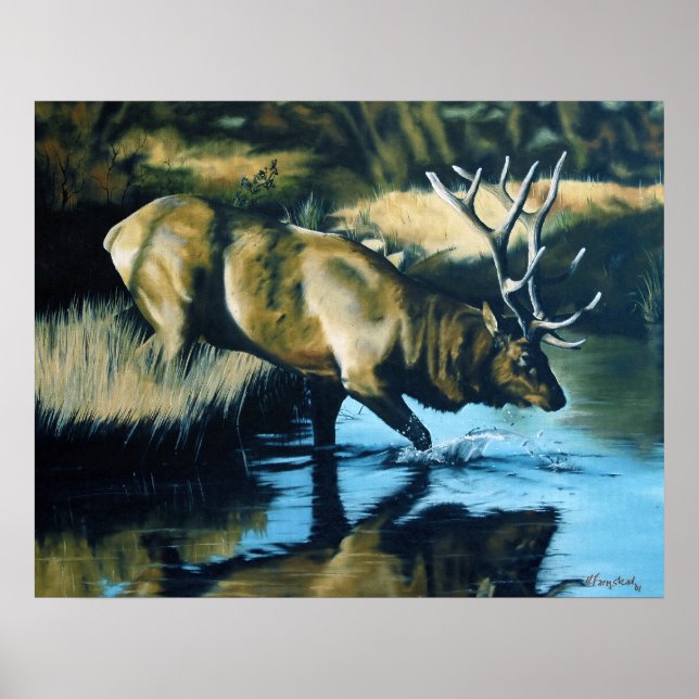 Reflections Poster (Front)