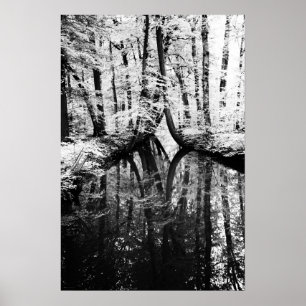 Reflective Contrast wapcna Poster