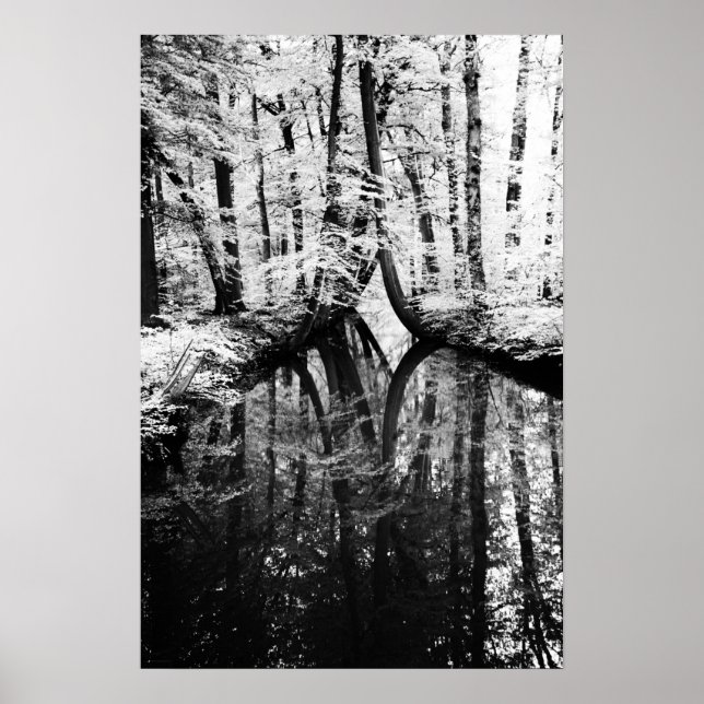 Reflective Contrast wapcnm Poster (Front)