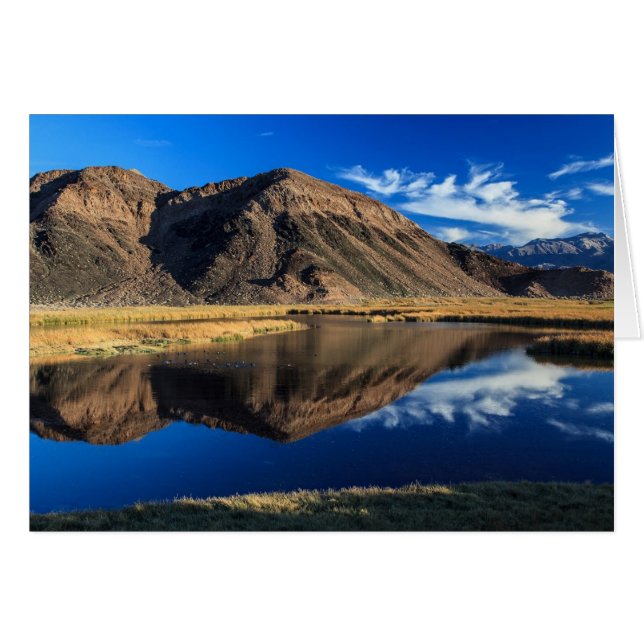 Reflective Isolation (Front Horizontal)