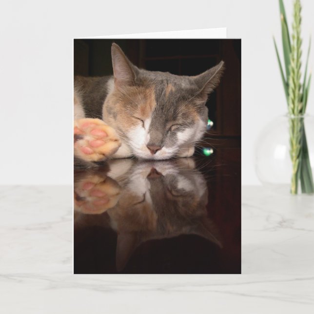 Reflective Kitty Card (Front)