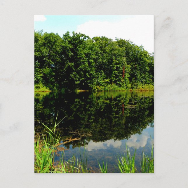 Reflective Ponds Postcard (Front)