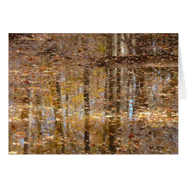 Reflet dans Still Creek à Greenbelt Park (Devant horizontal)