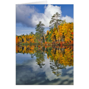 Reflets d'étang en automne, Maine