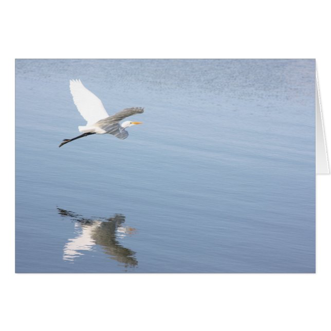 Réflexion (Devant horizontal)