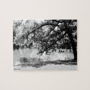 Réflexion dans le Puzzle des Beaux-Arts de l'eau