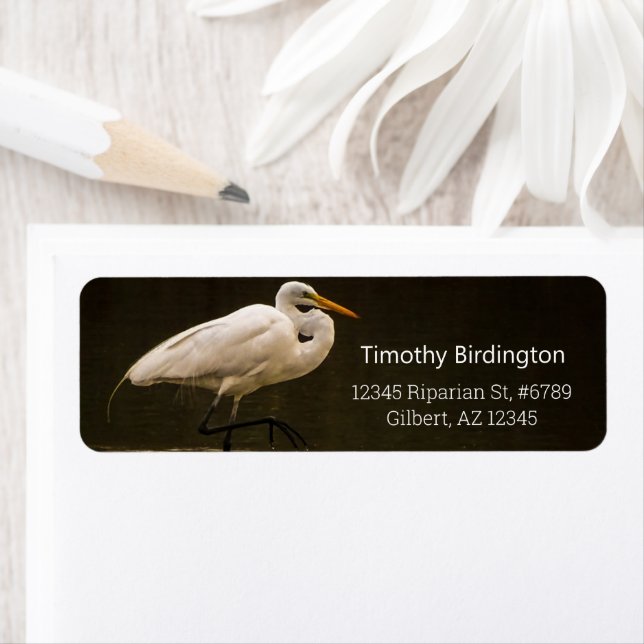 Réflexion d'Oiseaux D'Aiguilles Blancs Commun Dans (En situation)