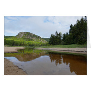 Réflexion sur la tête à Sand Beach