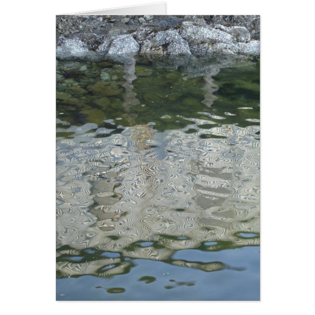 Réflexions (Devant)