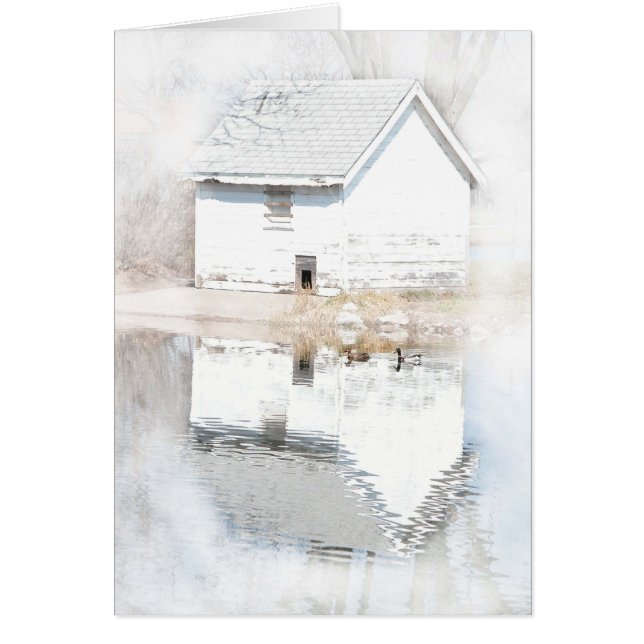 Réflexions douces (Devant)