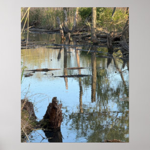 Réflexions sur le paysage marin du ruisseau Poster