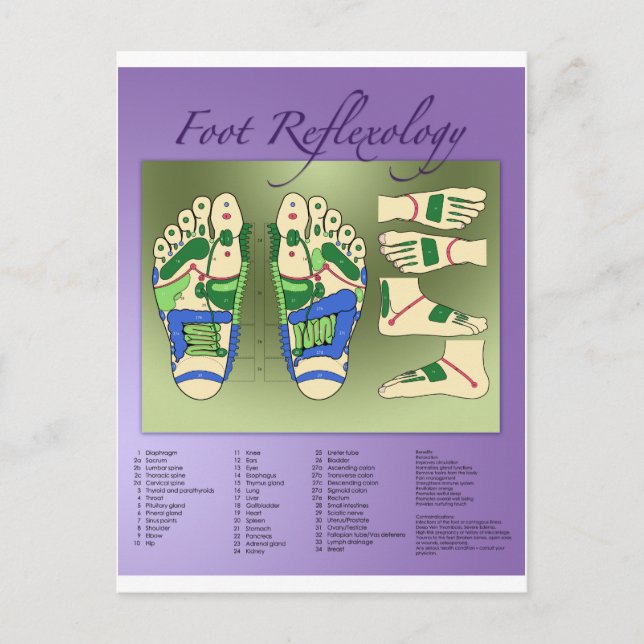 Reflexology chart postcard (Front)